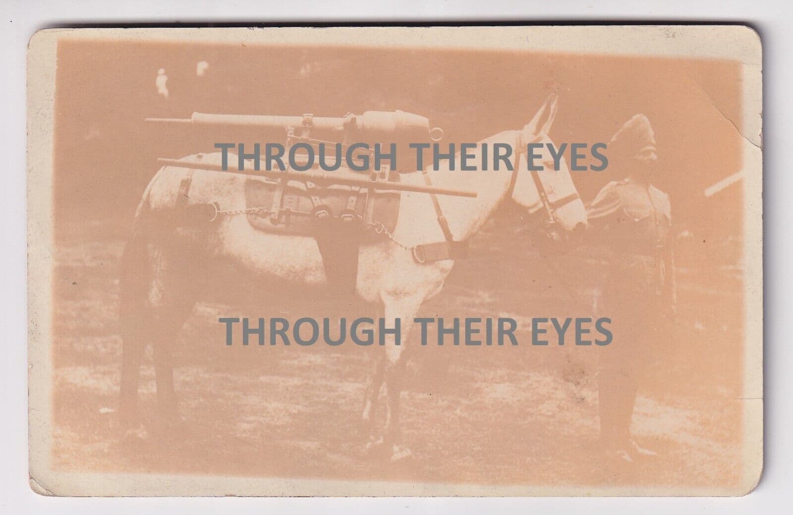 WW1 photo postcard Indian Soldier with Mule Donkey Horse with gun on back 2