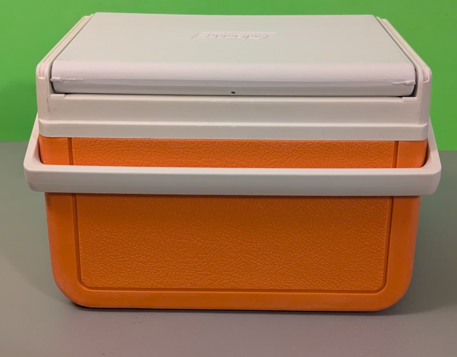 Vtg 1991 Nickelodeon Doo Wop Dinosaurs Cooler - RARE 90s Coleman - USA - *READ* 3