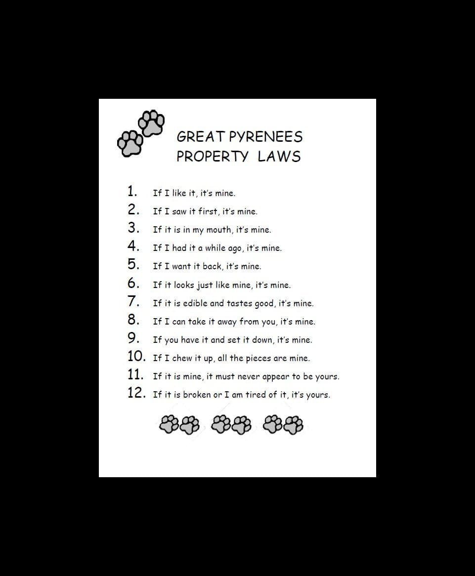 Great Pyrenees - CUSTOM MATTED - Dog Art Print - P/L