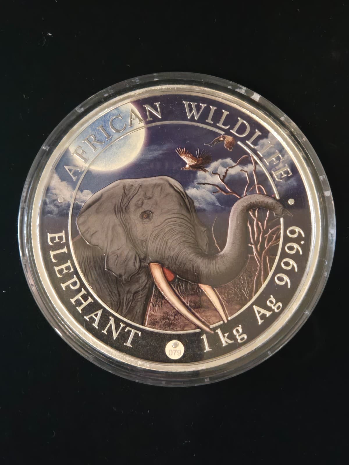 2018 Somalia 1 Kilo Silver Elephant Giant Moon 2