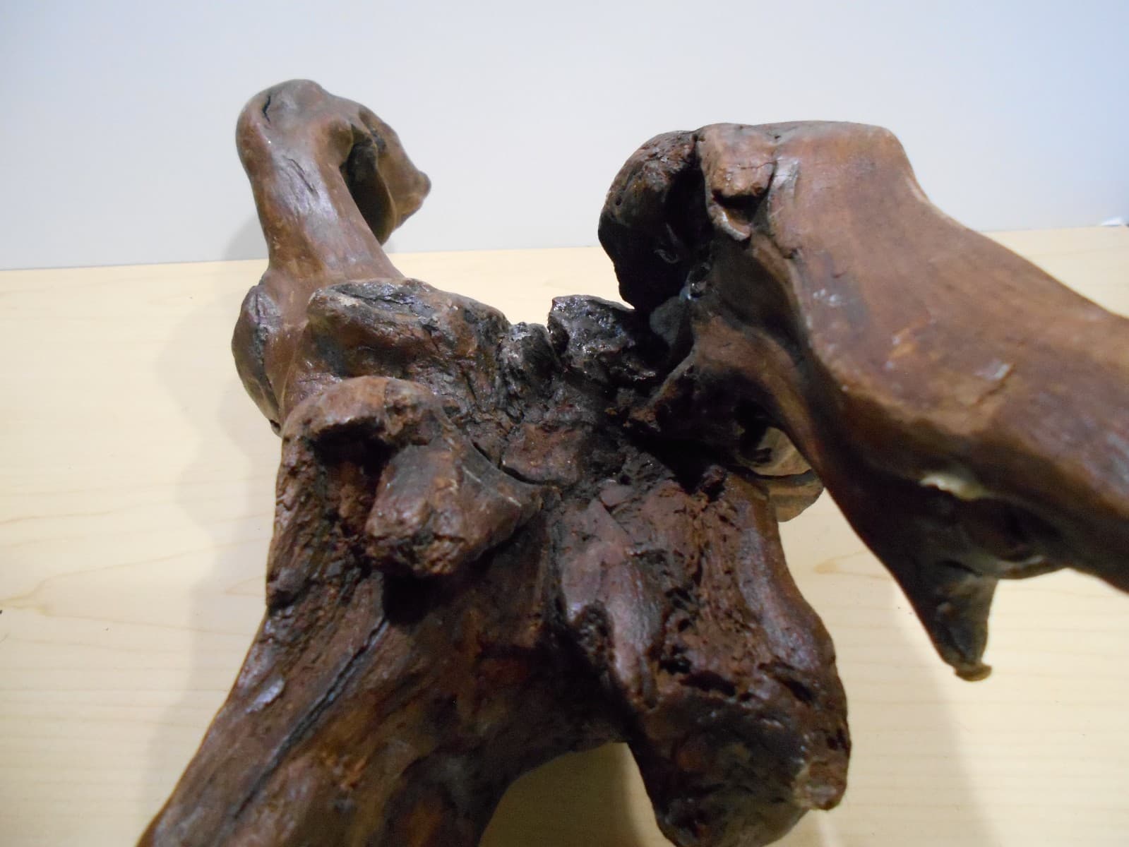 Driftwood Medium Aquarium Habitat Terrarium Orchid Mounting Planter Bonsai Wood 6