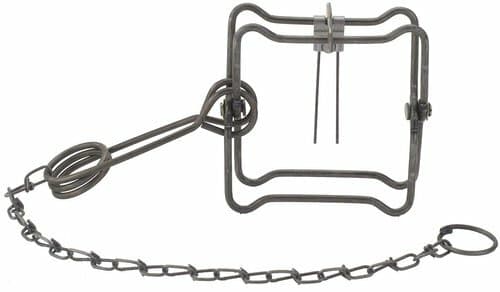 2   Duke 110  Body Grip Traps Trapping Weasel Muskrat  Mink 0400 2