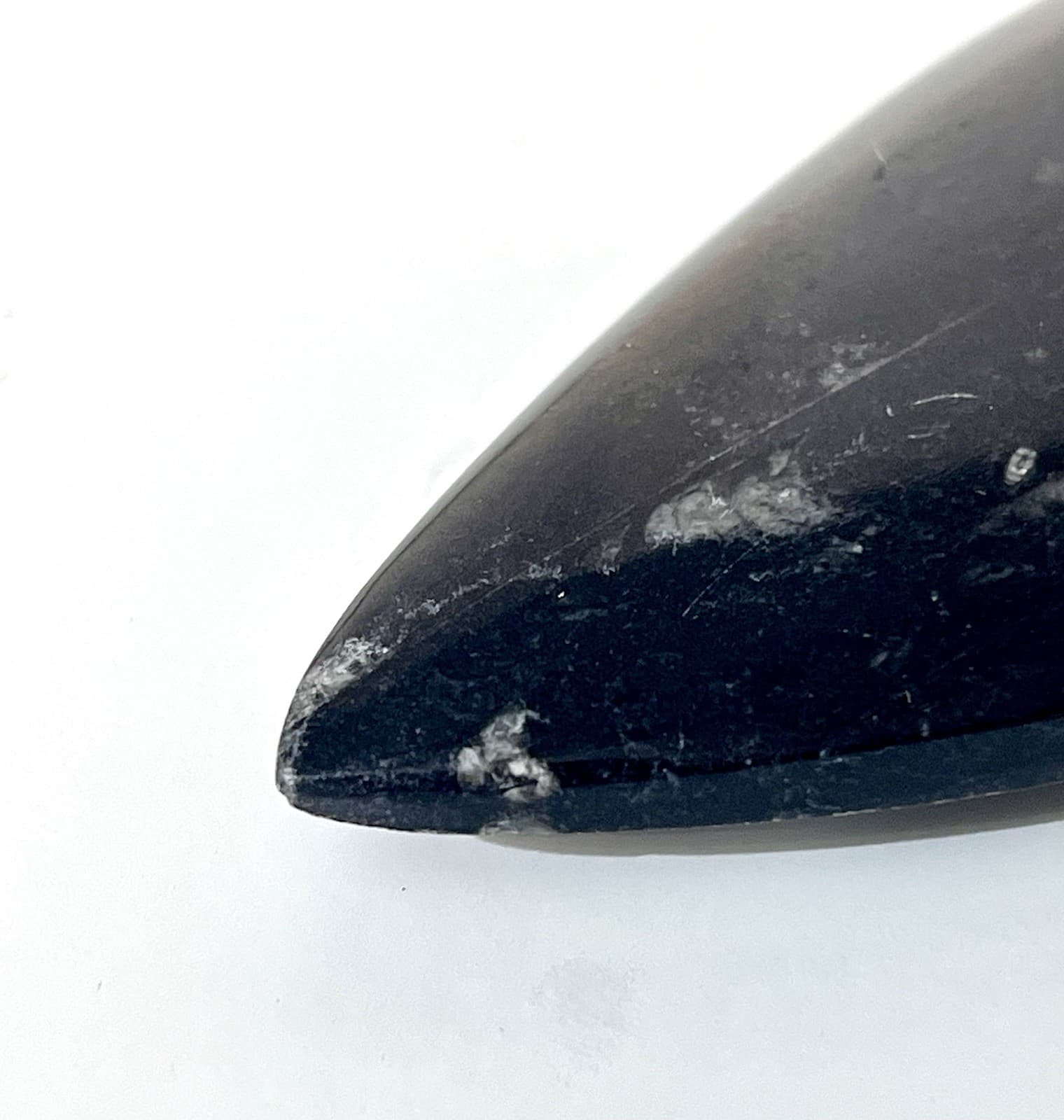 Orthoceras Fossil Specimen Polished Stone Spear Shape Black White Metaphysical 4