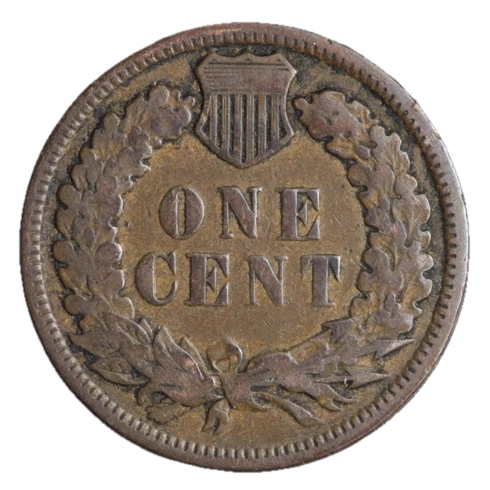1882 Indian Head Cent Penny “Best Value On EBay” FAST FREE SHIPPING 2