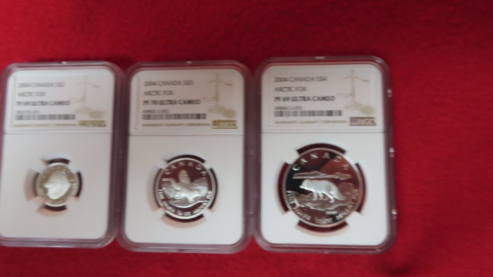 2004 CANADA 3x ARCTIC FOX $4, $3 and $2 - NGC Graded PF70 & 69 Coin Set 5