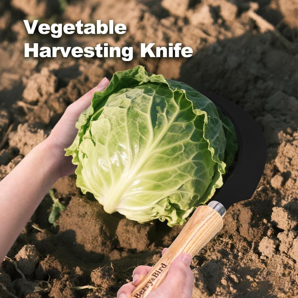 Berry&Bird Grass Sickle W/ Sawtooth Garden SK5 Carbon Steel Blade Sickle Knife 6