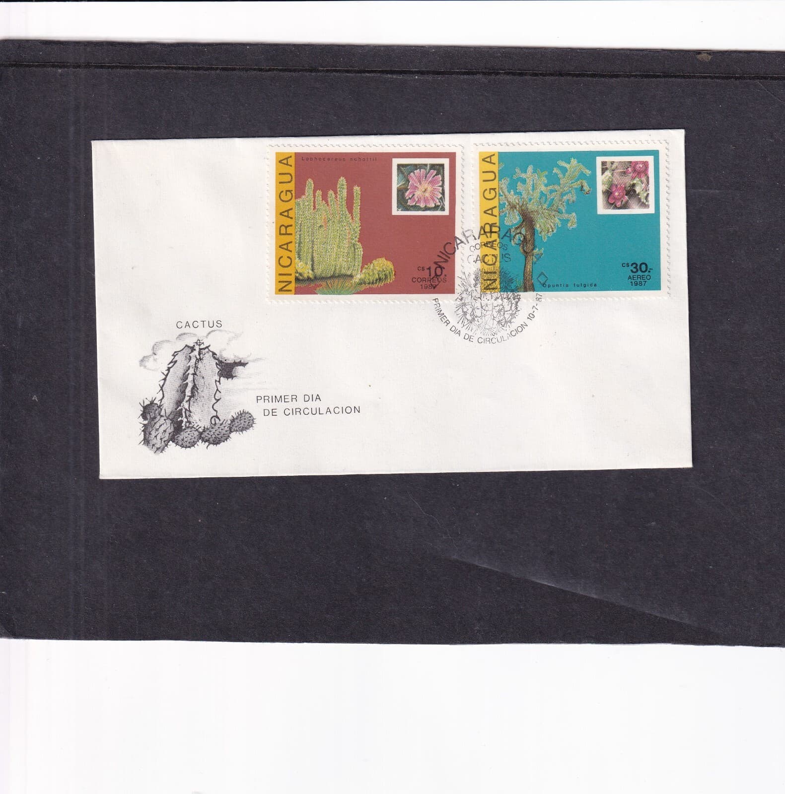 Nicaragua Flowers Fauna Cactus FDC choice of years 1981 1982 1983 1987 1988