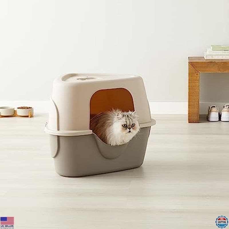 Basics Charcoal Cat Litter Box with Lid - No-Mess Design, Standard 26"x23"x20 6