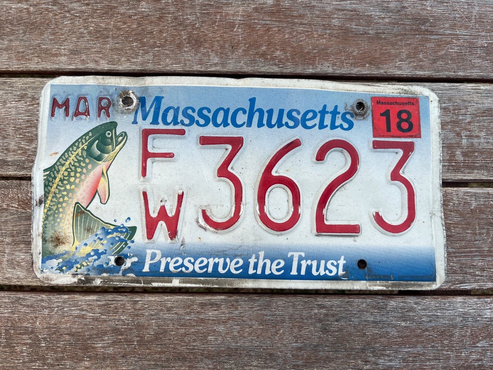2018 Massachusetts Preserve The Trust License Plate Fish FW 3623