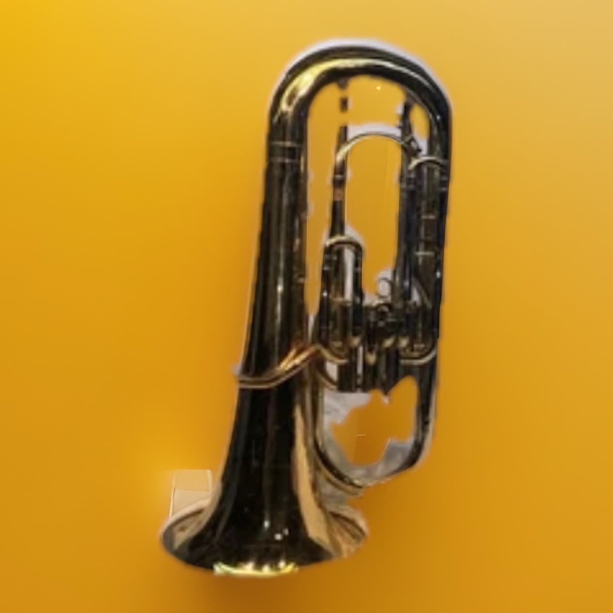 Benjamin 4 Valve Euphonium #BU400 3