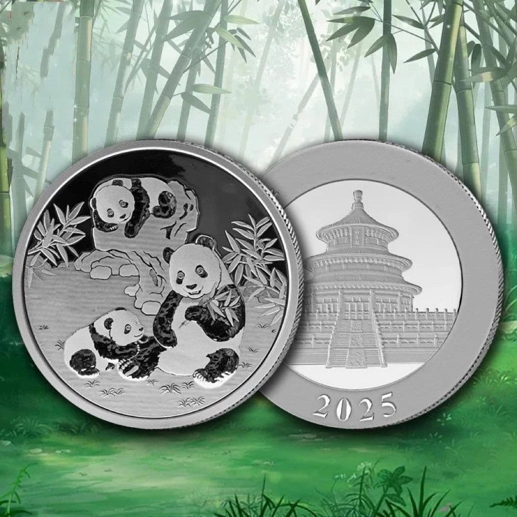 2025 China Panda Silver Plated Coin 30g Commemorative Bullion Collectible 6