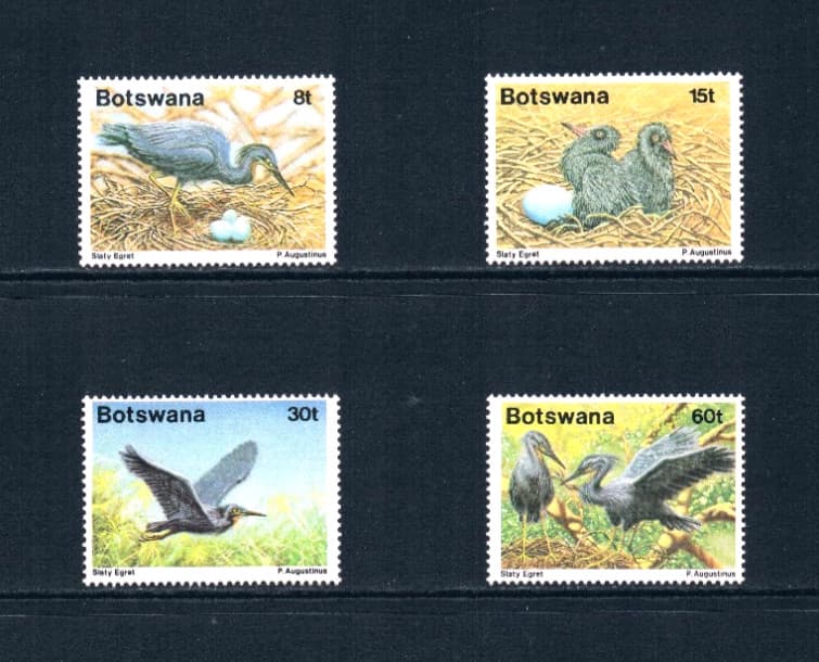$5.50 Scott Value - 1989 BOTSWANA Egrets Birds African Wildlife CV MNH NH UMM 3
