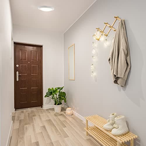  588160 Paxton Modern Integrated LED Disk Light Indoor/Outdoor Ceiling Flush  6