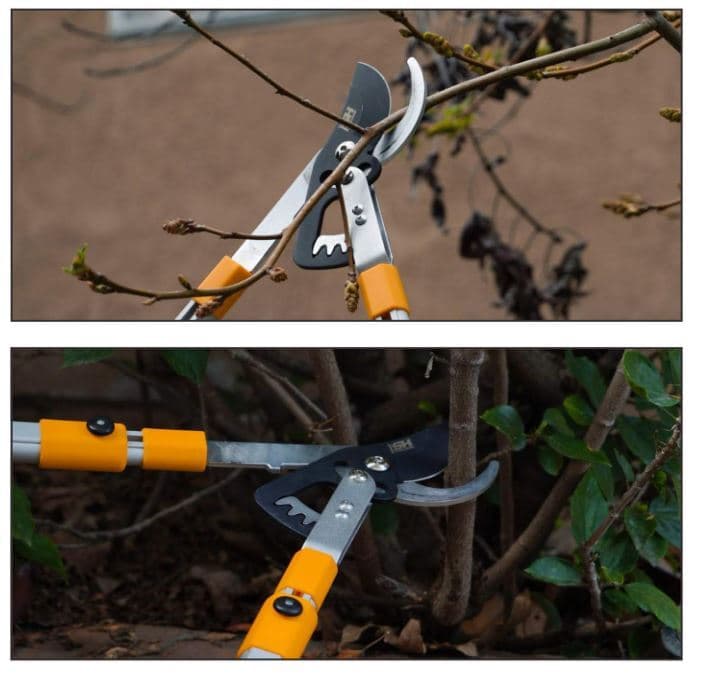 Telescopic Ratchet Loppers Heavy Duty Branch Trimmer Cutter Tree Yard Work BEST 3