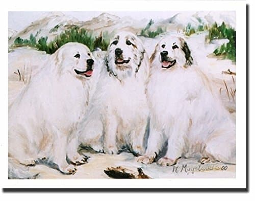 New Great Pyrenees Trio Notecard Set - 12 Note Cards By Artist Ruth Maystead