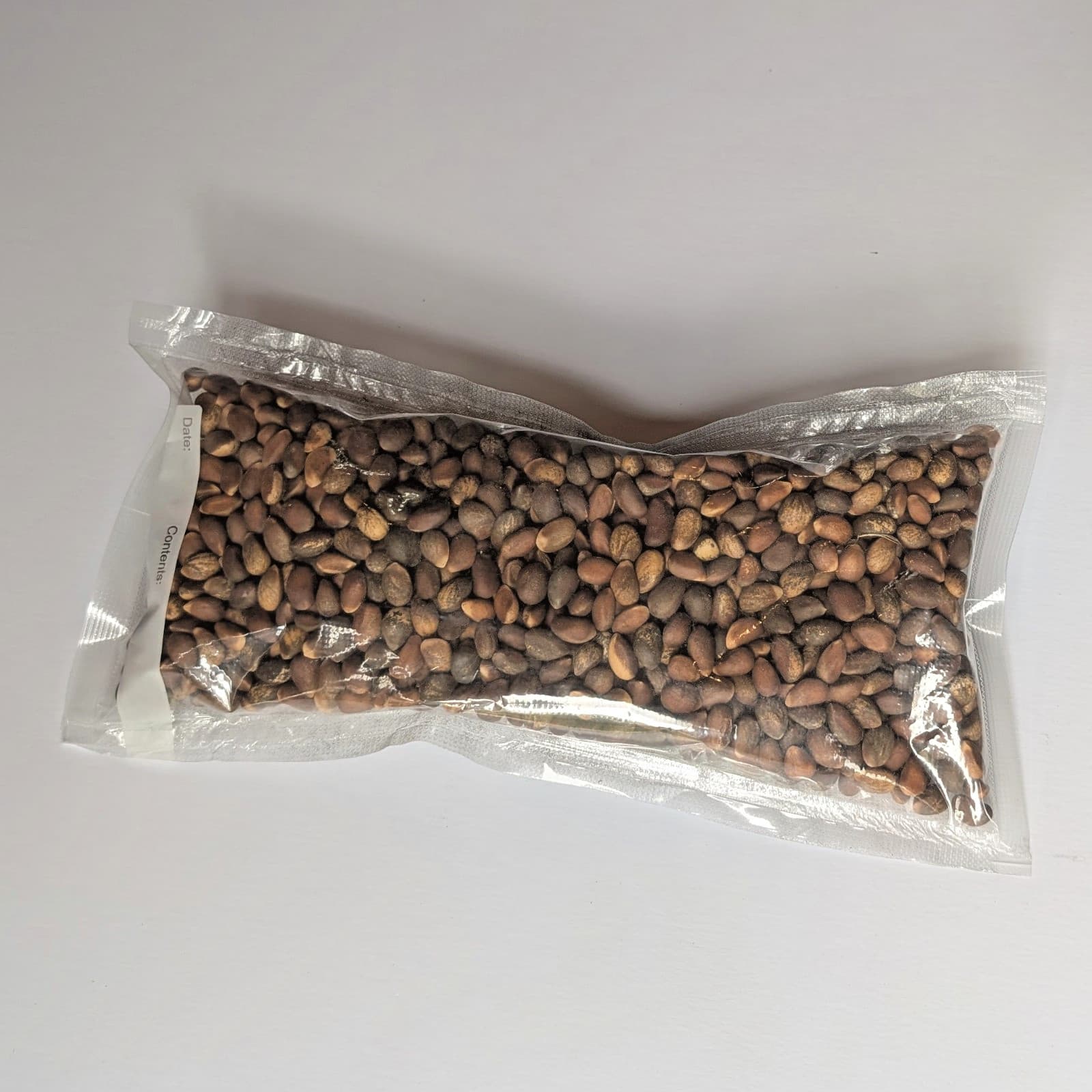 New Mexico Piñon Pine Nuts, 1lb Raw Pinon | Navajo Nation, Zuni Mountains 2