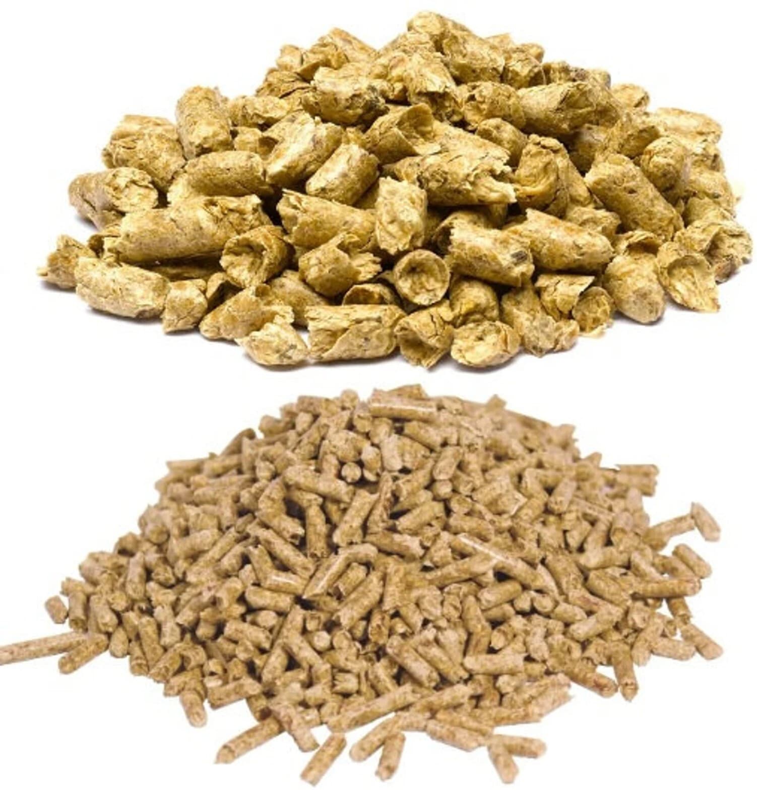 Nano Starter Package for Shrimp tanks - Freshwater Shrimp Snails Betta Fish Crab 4