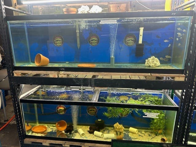 USED 125 GALLONS FISH TANK AQUARIUM 2