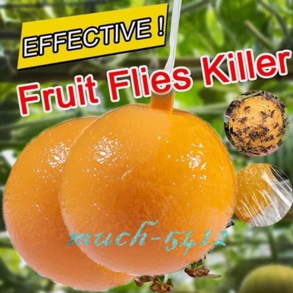 Bug Fruit Fly Traps Sticky Ball Fungus Gnat Pest Control Ball for Indoor Outdoor 3