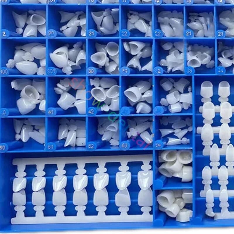 Dental Polyycarbonate Temporary Crowns 66 Size Box 360 Pcs W Paper Guide Chart 6