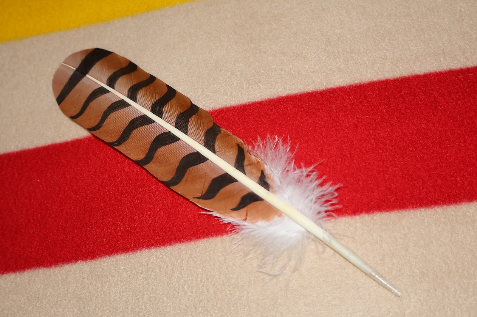Native American hand painted Red-Tailed Hawk Feather 4