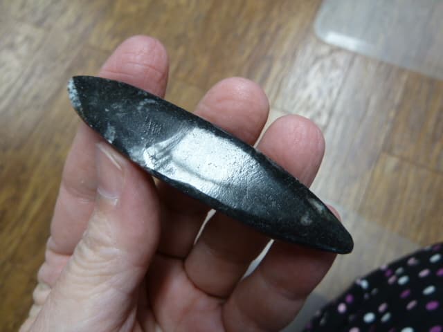 f369-10 LG Orthoceras marbilized fossil straight horn shell nautiloid cephalopod 2