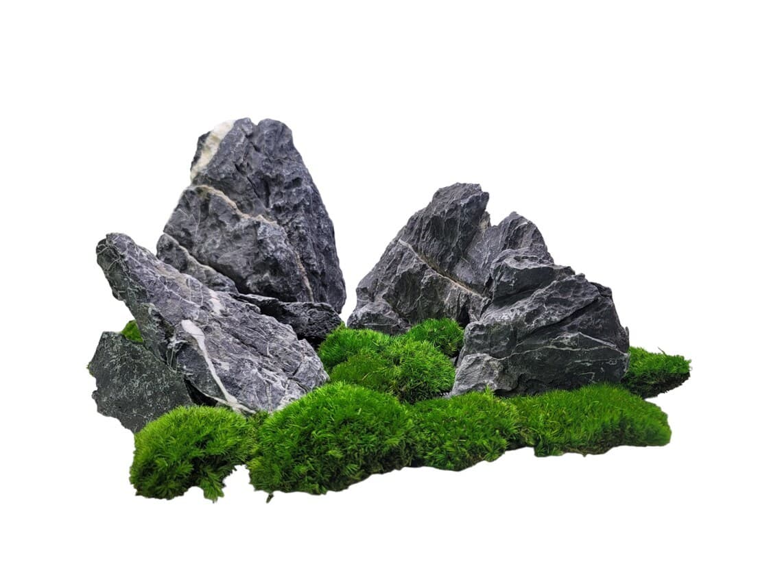 Japanese Black Seiryu Stone for Aquascapers Aquarium Planted Fish Tank