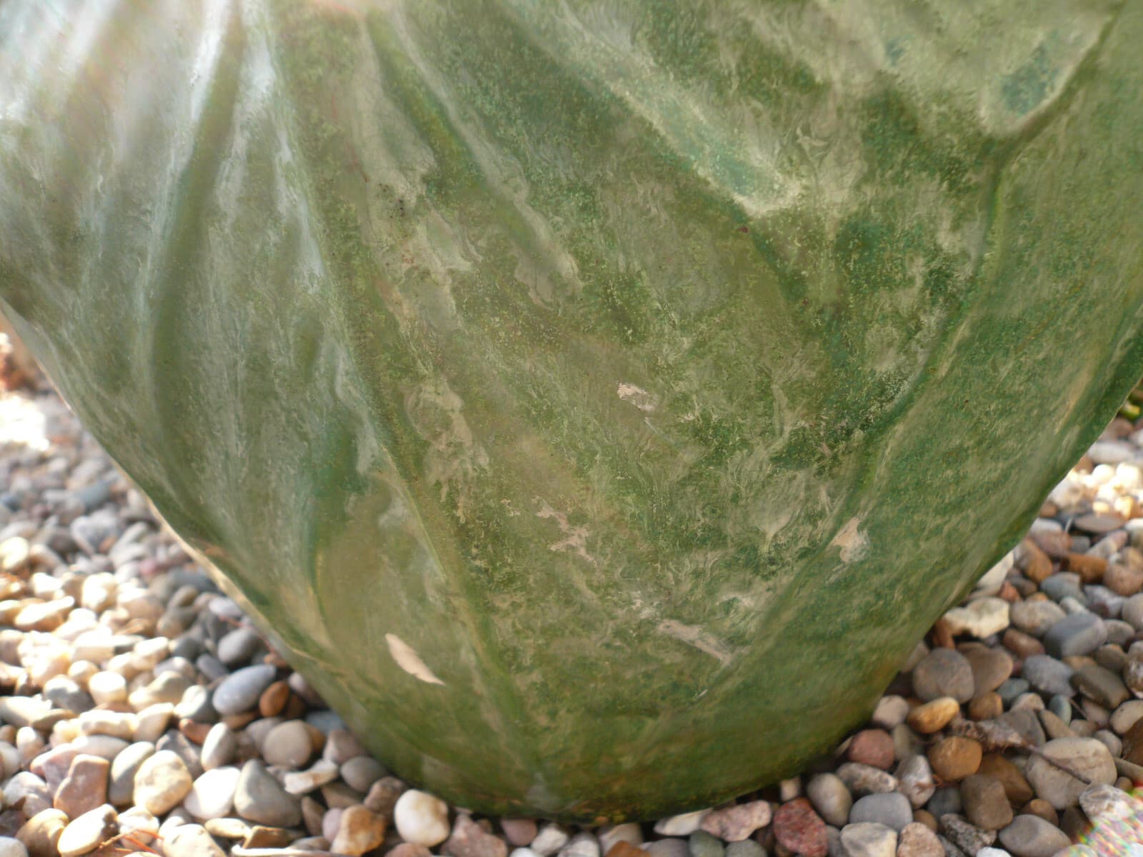 WELLER POTTERY ARTS & CRAFTS MATTE GREEN EXQUISITE LEAF LARGE JARDINIERE 3