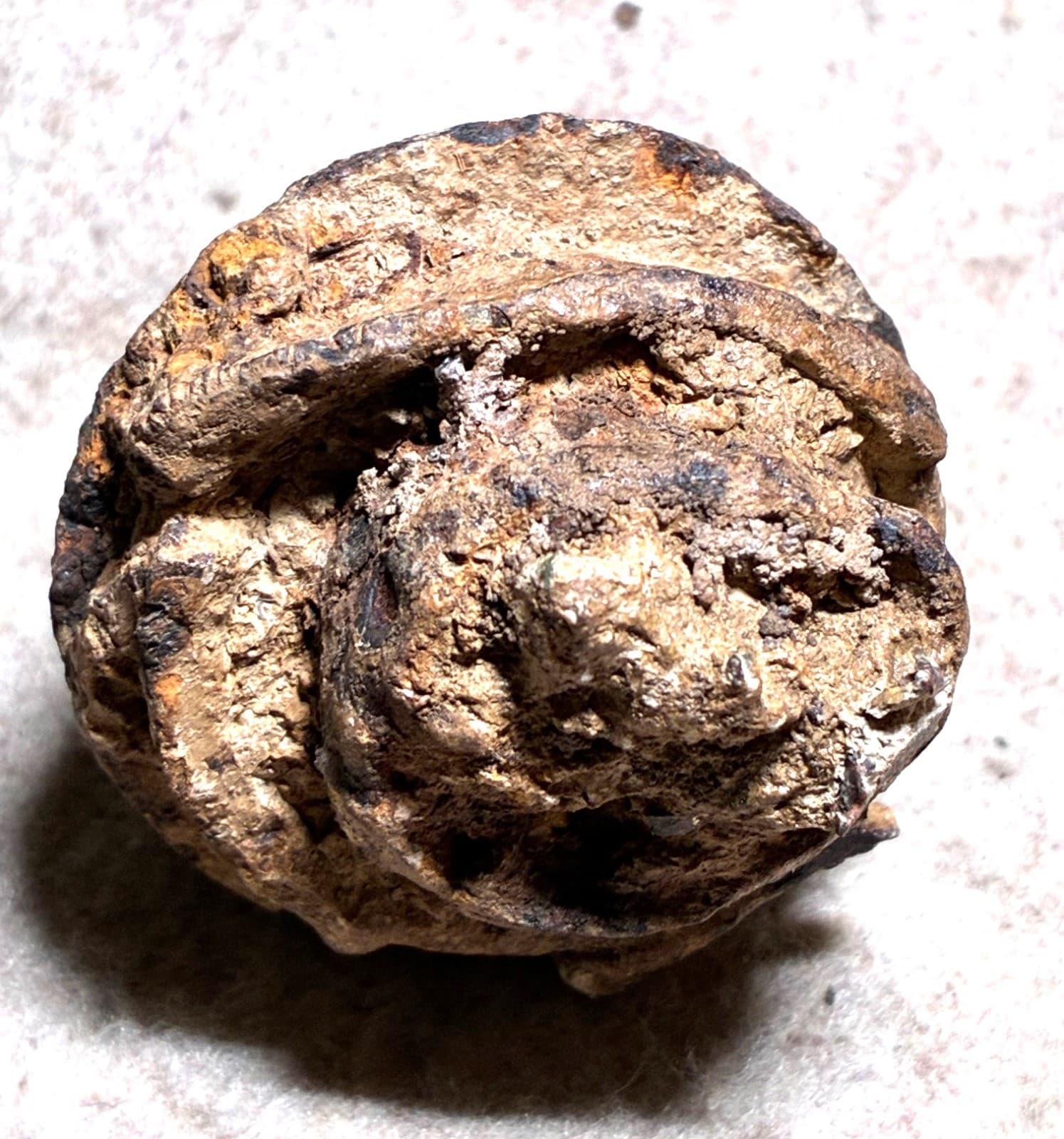 WWI fuse relic dug in Flanders, Belgium 2