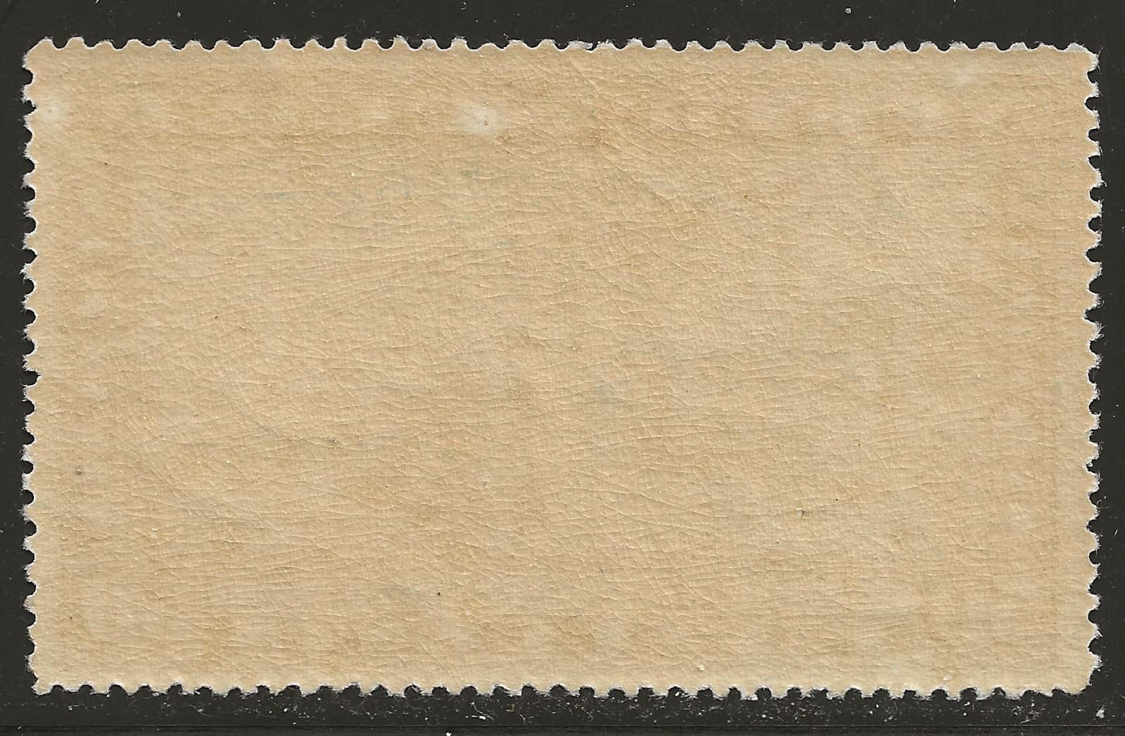 NEWFOUNDLAND C7 MH, XF - 50c Air Post issue 2