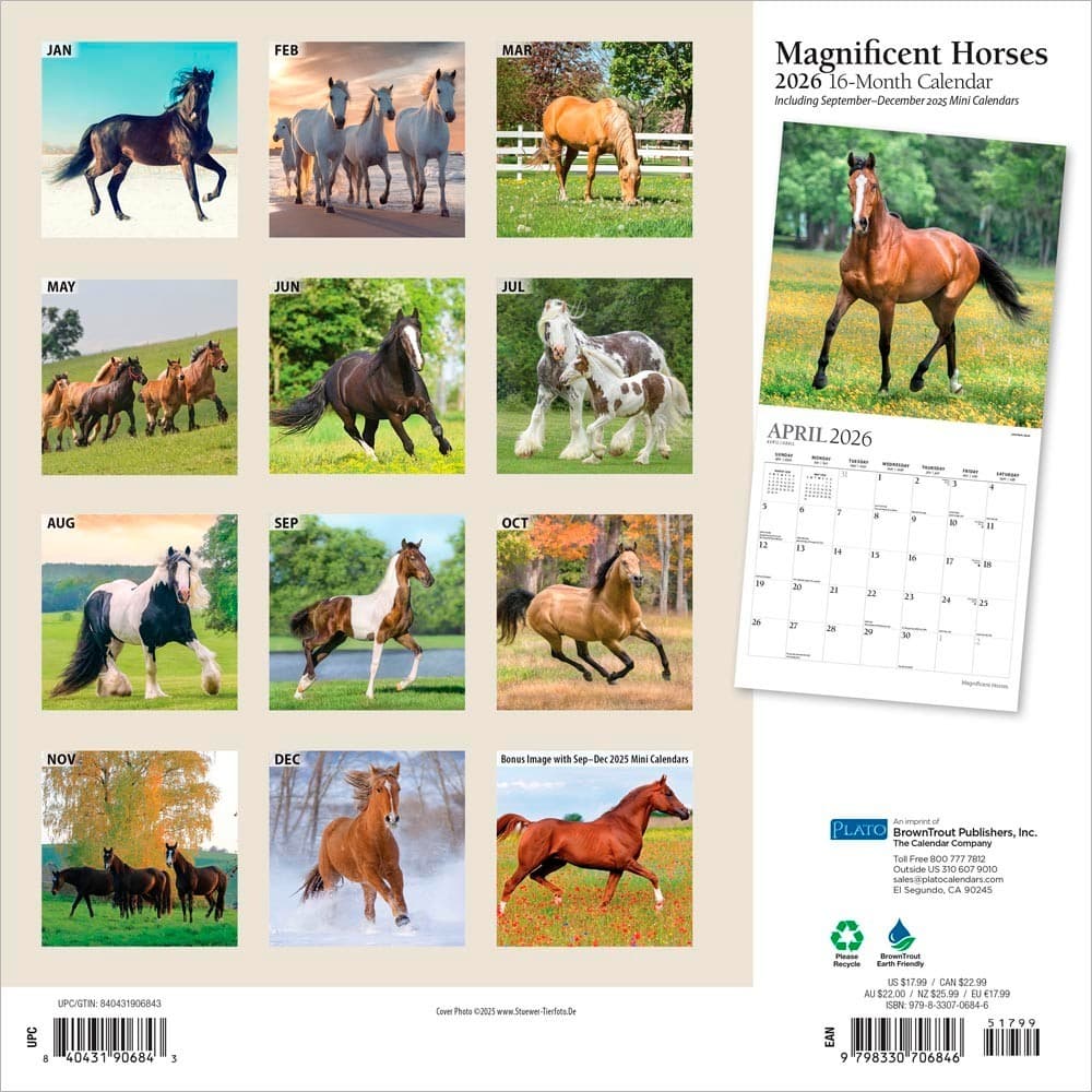 Magnificent Horses | 2026 12x24" (Hanging) Monthly Square Wall Calendar 2