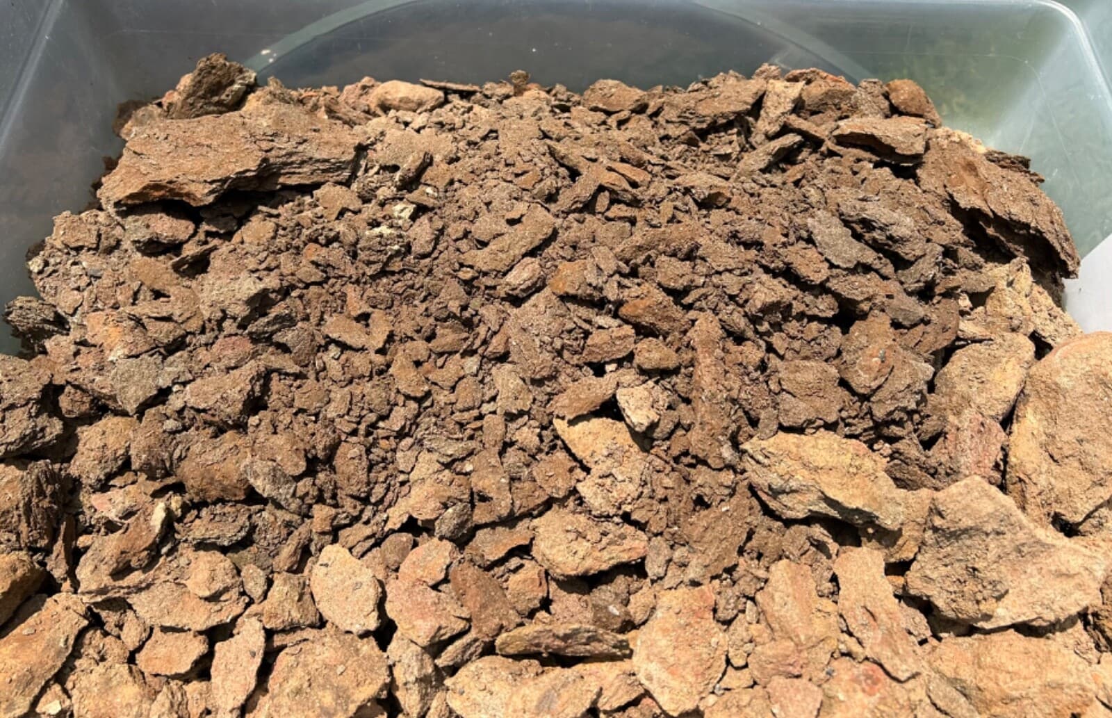 1 LBS Texas Micro Fossil Matrix Ozan Formation Find your Own Fossils Shark Fish 2