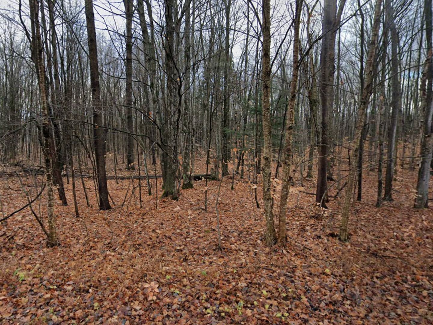 Mancelona Antrim County Michigan Payments Available Vacant Land Lot - .8 Acres 4