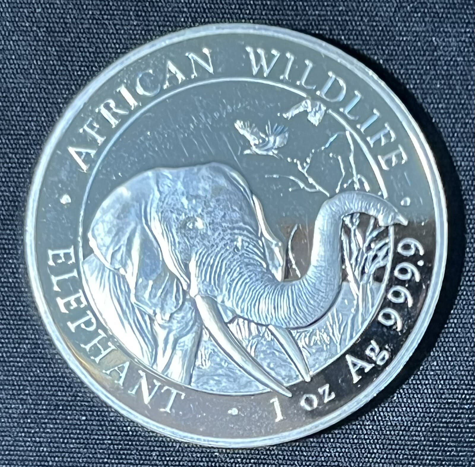 2018 1oz .9999 SILVER SOMALI REPUBLIC African Wildlife Elephant 100 Shillings