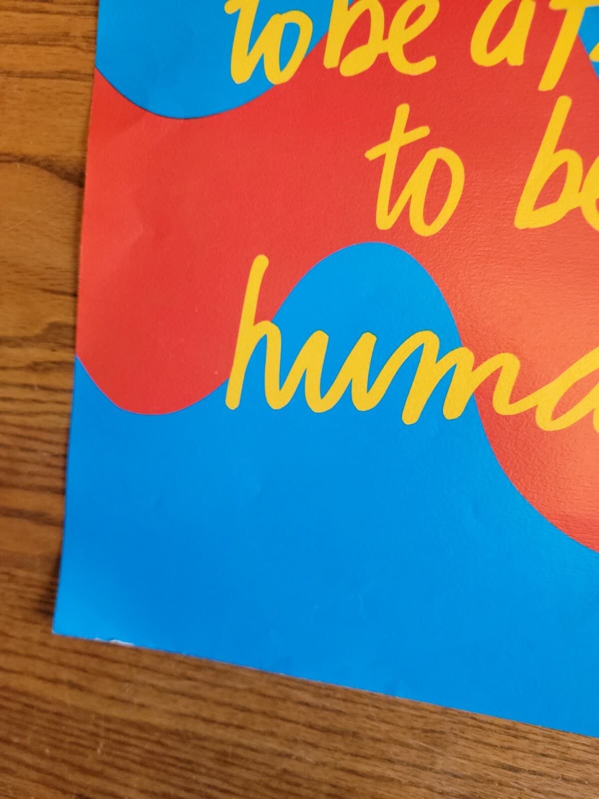 1973 PABLO CASALS the main thing in life is not to be afraid to be human cello  3