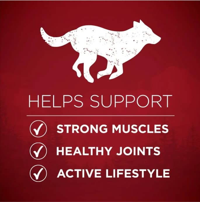 Purina ONE True Instinct Dry Dog Food, High Protein Real Salmon & Tuna, 36 lb 4