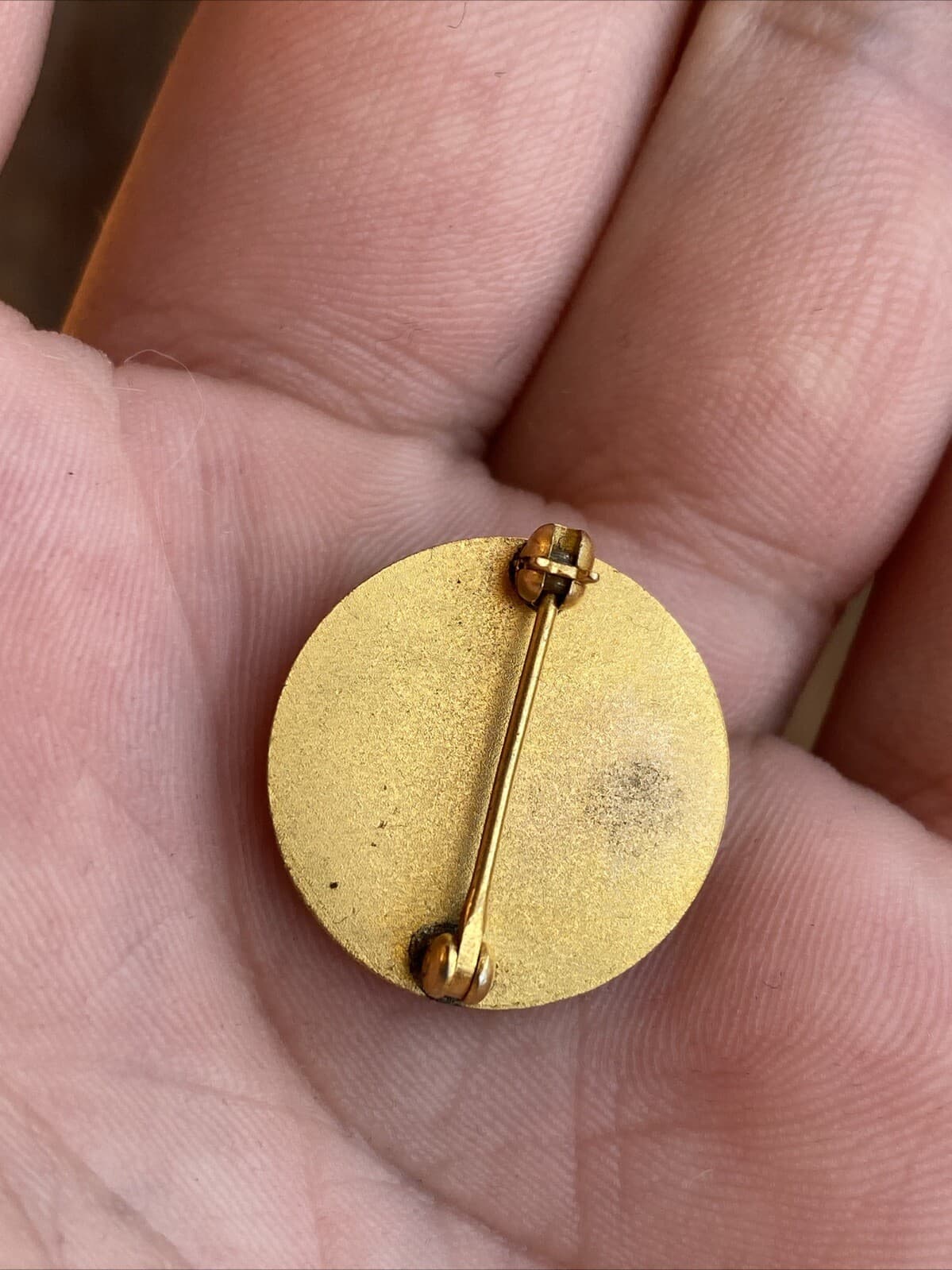 1917-1967 50 Years NYS NEW YORK STATE ASSN TEACHERS OF MENTALLY HANDICAPPED Pin 4