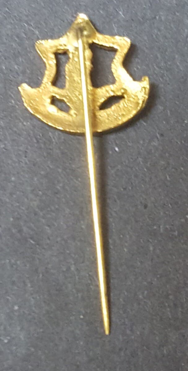 Judaica Israel Old Pin Military IDF Pin 3