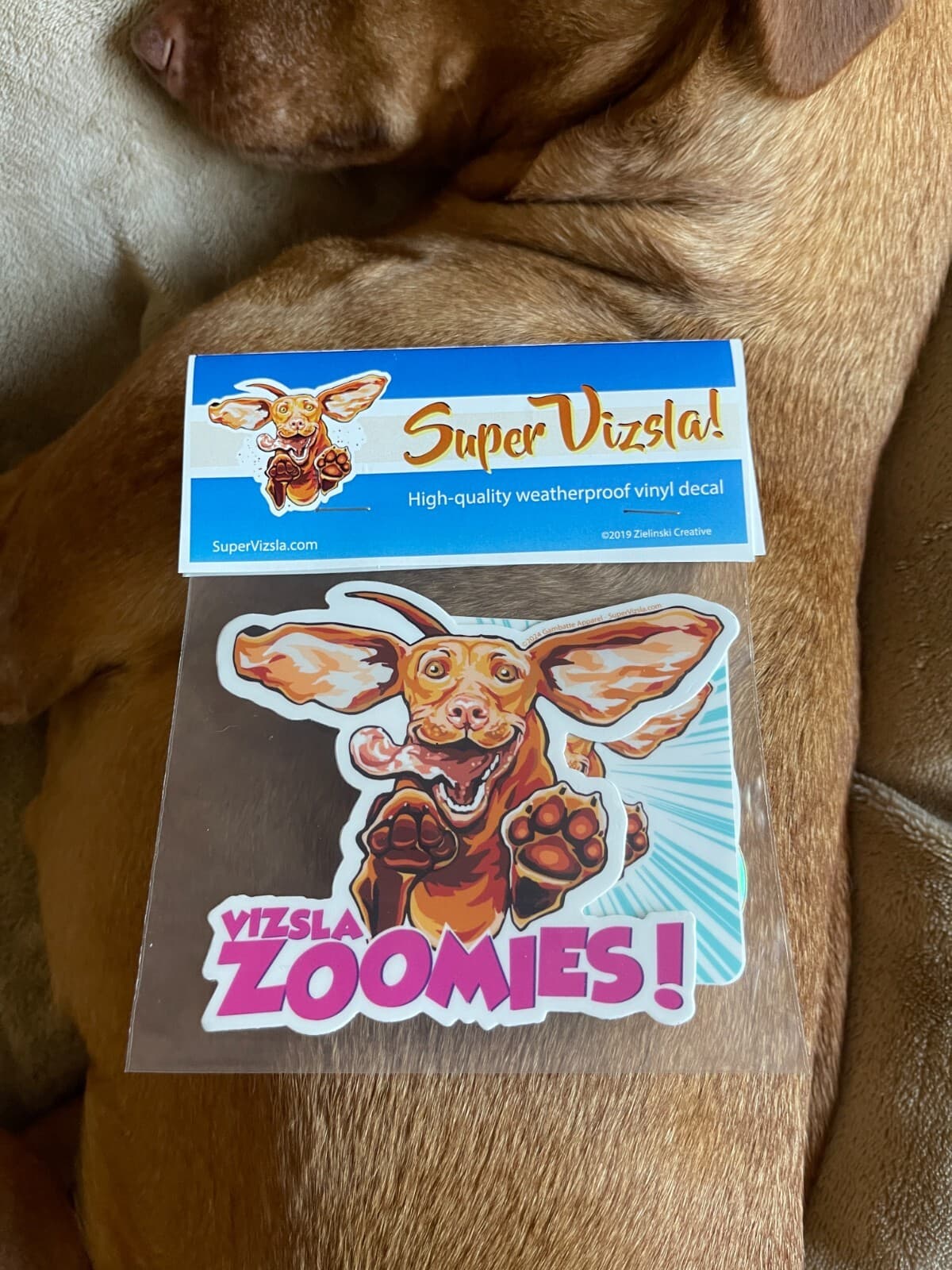 Happy jumping Hungarian Vizsla Zoomies puppy dog sticker pack cartoon decal 4.5" 6