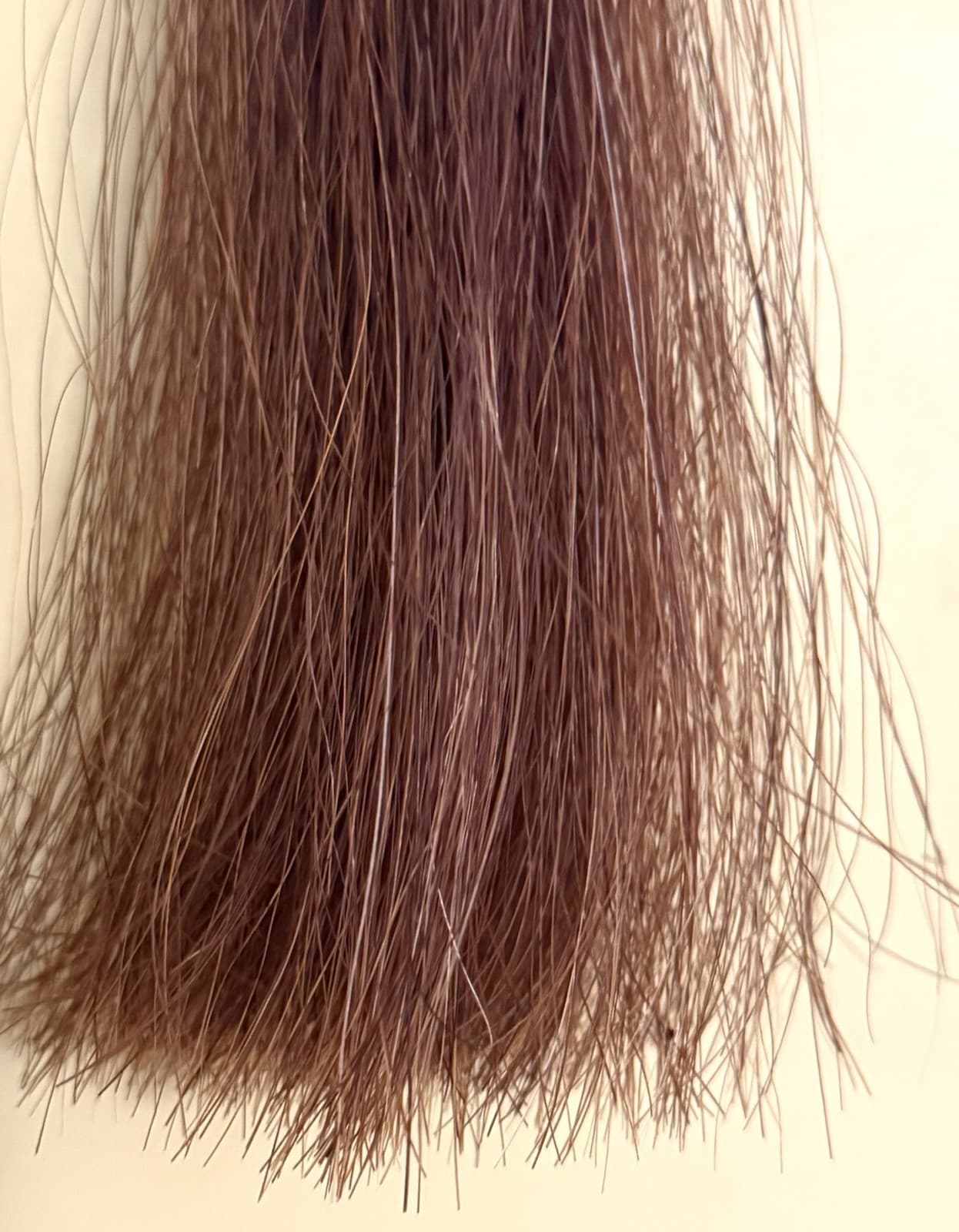 NEW Vintage Authentic Parelli Natural Horsemanship Horsehair Shoo-Fly ShuFly 14" 4