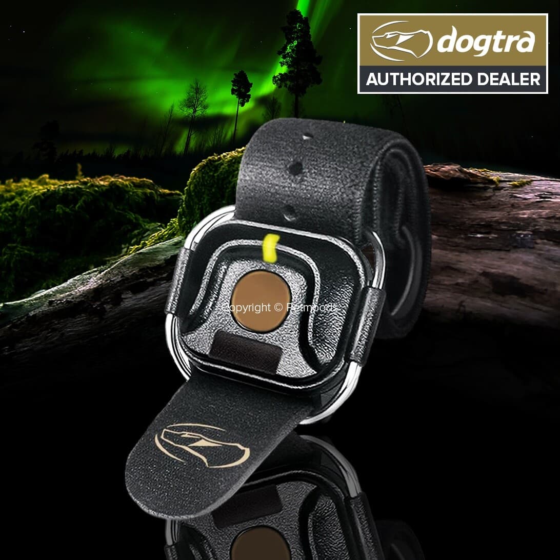 Dogtra HANDSFREE Square Remote Dog Training Expandable Device 1900x Series, 280x 2