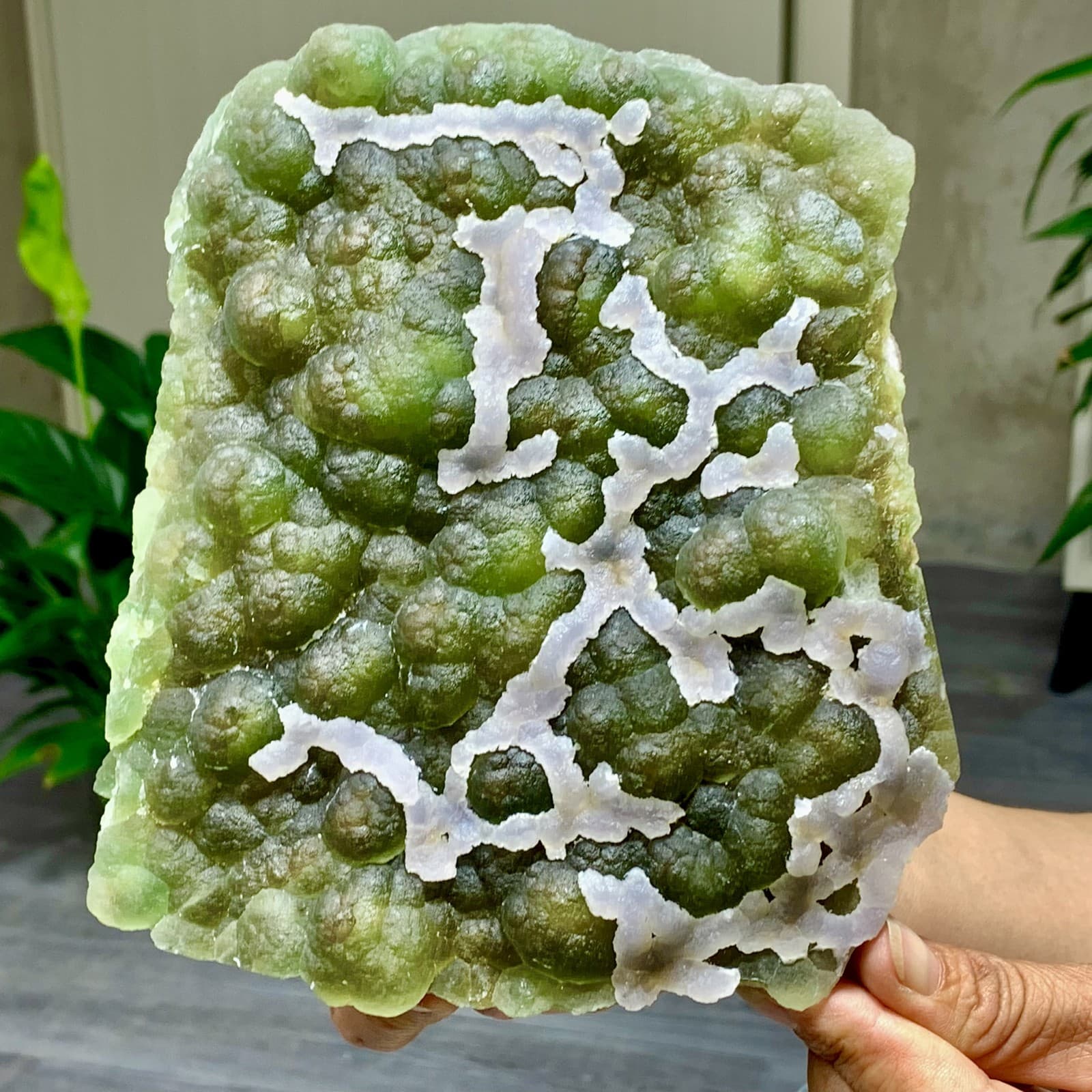 3.7LB Natural Fluorite Green-white dual color crystal mineral Specimen,Zhejiang 3