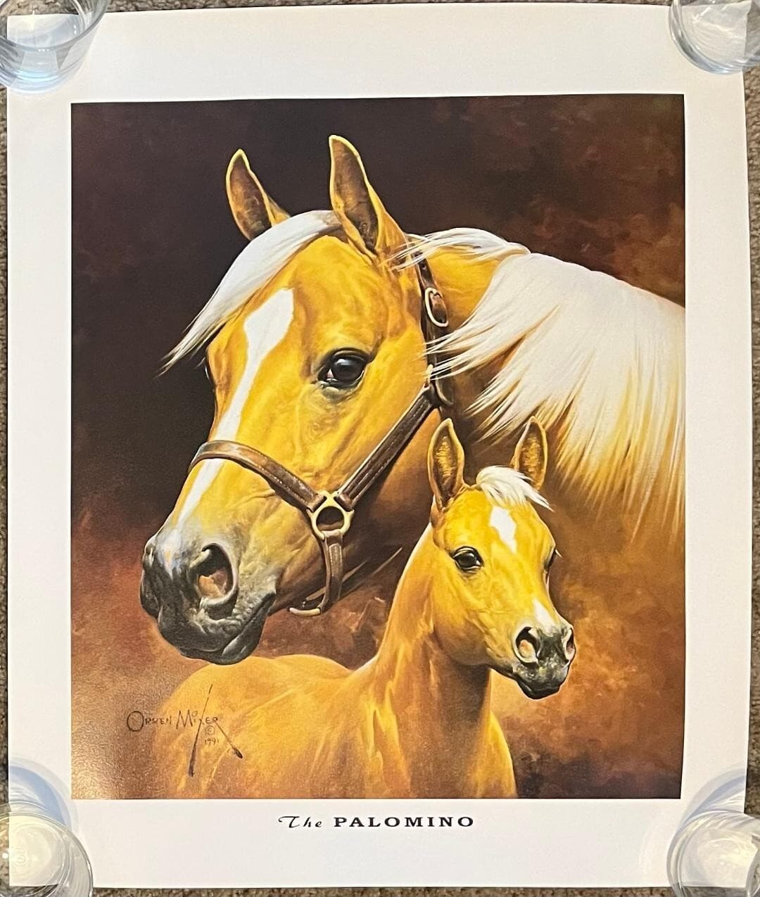 NEW ORREN MIXER PALOMINO QUARTER HORSE MARE FOAL PRINT MEASURES 20"W X 23 3/4"T