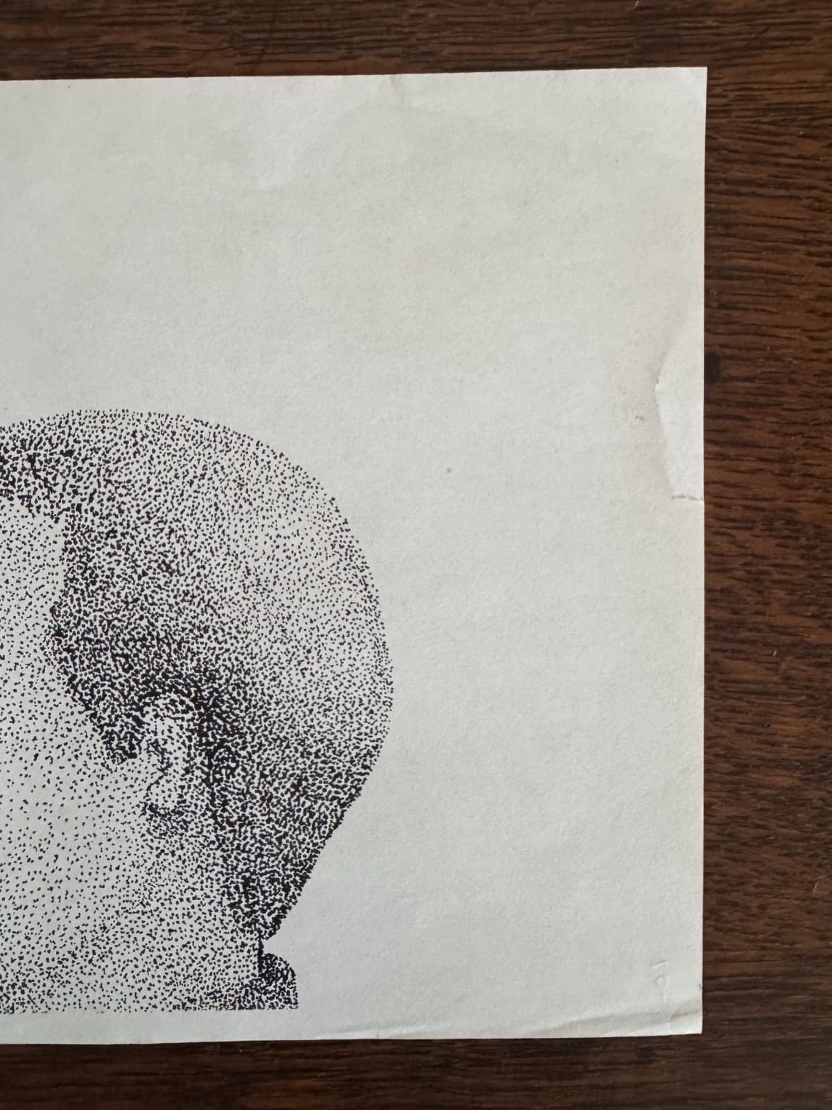 Original Pointillism Young African-American Woman Pen Portrait Drawing 8.5"x11" 3