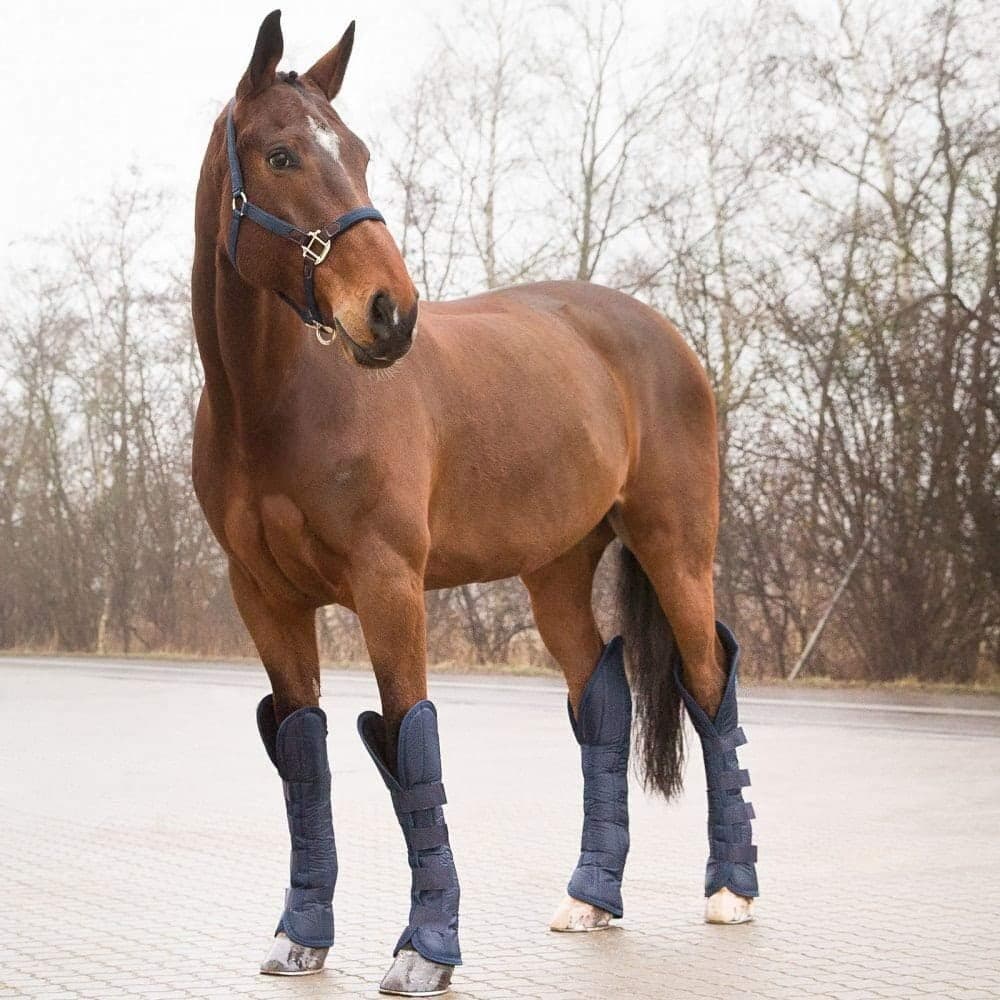 HORZE - Horse Shipping Boots - Color: Peacot Blue - Set Of 4 2