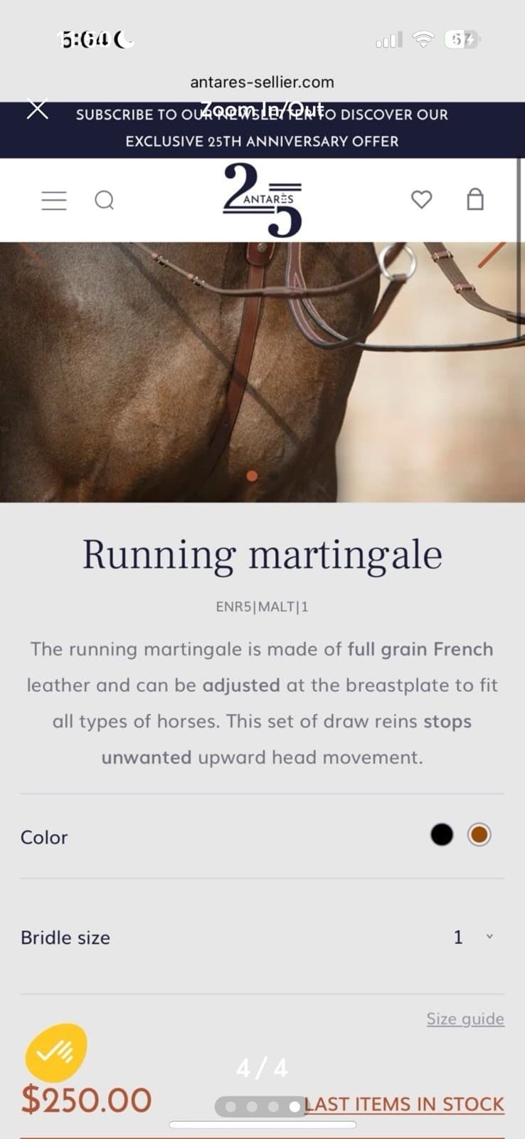 Antares Running Martingale 4