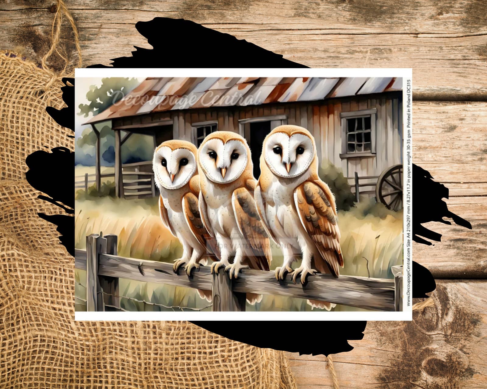 Owls On The Fence | A4 8.3" x 11.7" Rice Paper for Decoupage | Decoupage Central 2
