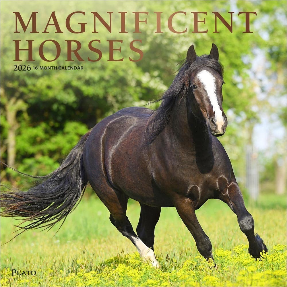 Magnificent Horses | 2026 12x24" (Hanging) Monthly Square Wall Calendar
