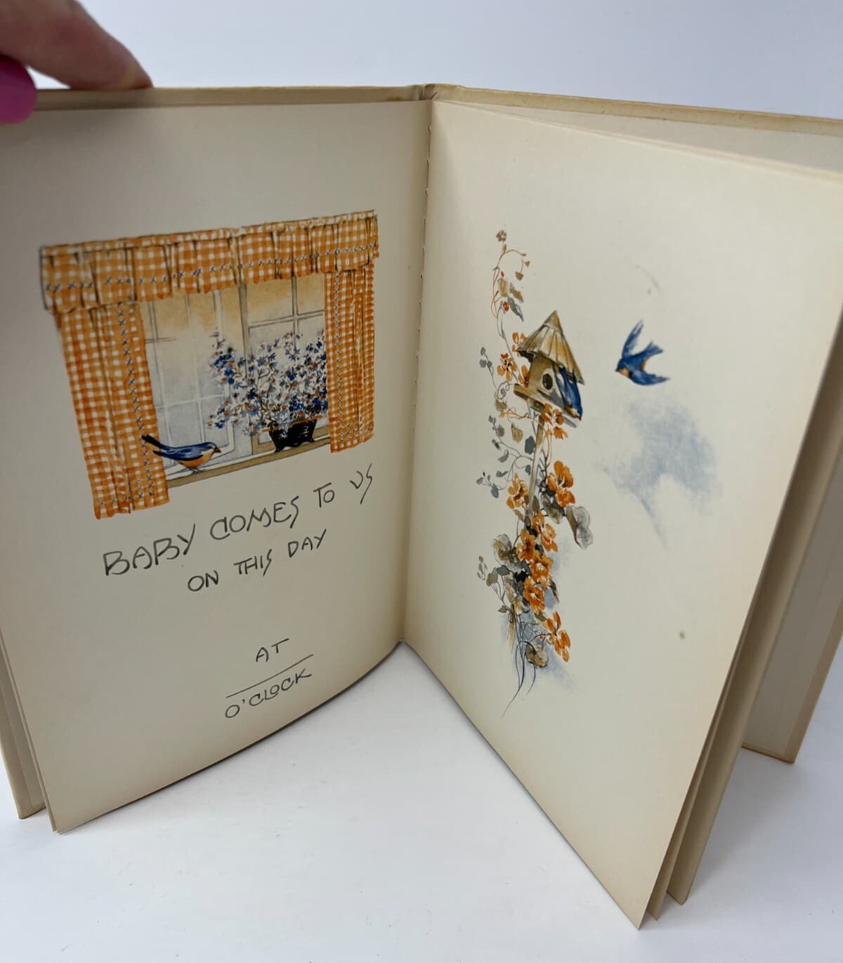 VTG C R Gibson 1923 Baby's Own Book Birth Record Hardcover Book w/Original Box 6