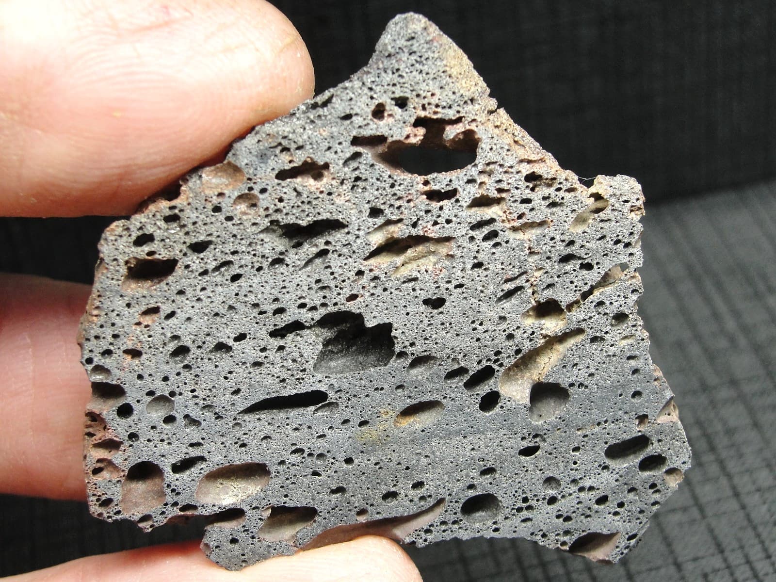 Rare KT Boundary Material - Montana - KT-0374 - 8.64g - Rare Buchite - Slice 2